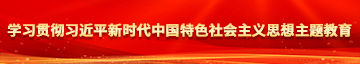 三级黄色片机吧和逼学习贯彻习近平新时代中国特色社会主义思想主题教育